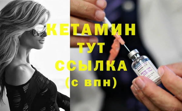 стафф Алзамай