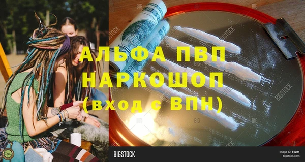стафф Алзамай