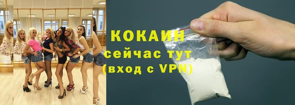 стафф Алзамай
