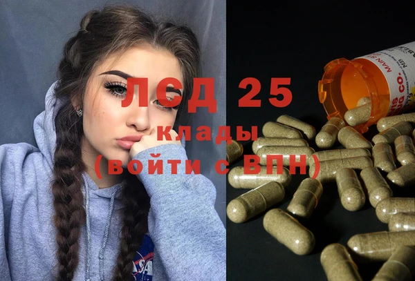 шишки Алексеевка
