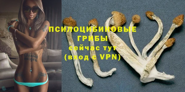 шишки Алексеевка