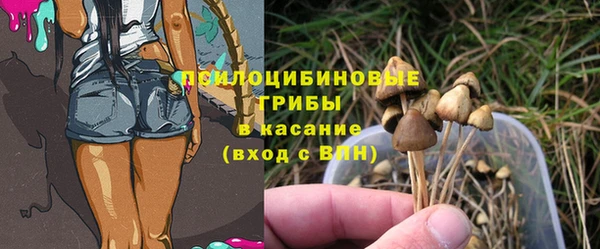шишки Алексеевка