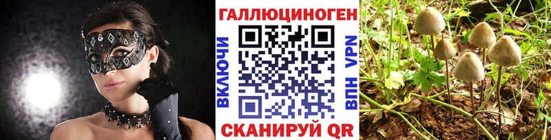 продажа наркотиков  Трёхгорный  Галлюциногенные грибы ЛСД 